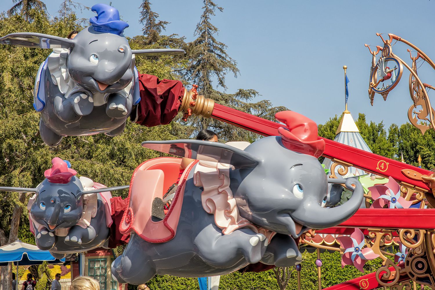 Dumbo Ride at Disneyland: Things You Need to Know