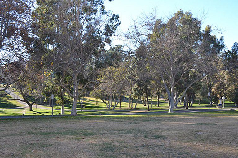 Uc Irvine Aldrich Park