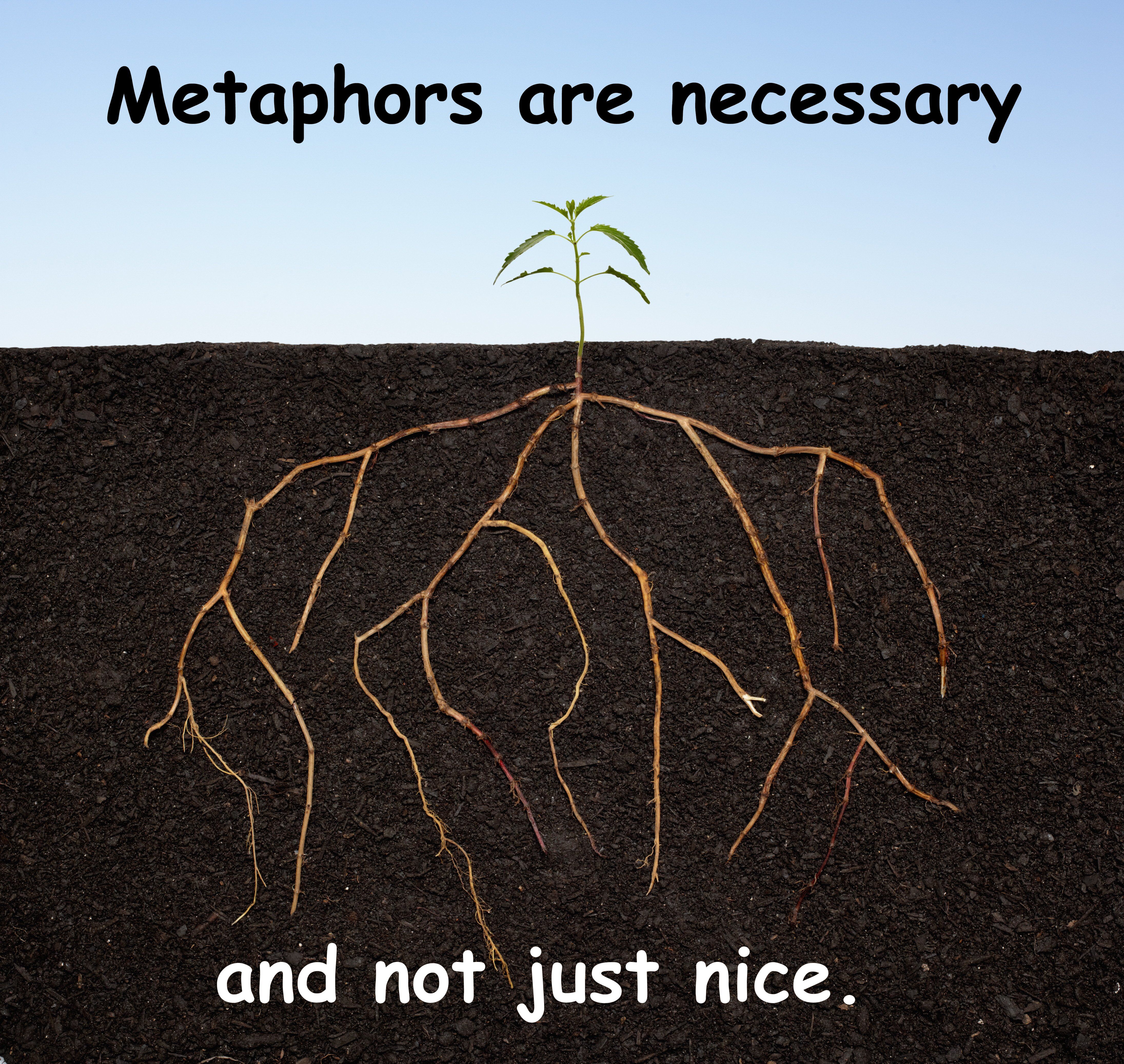 Root Metaphors - Definition and Examples