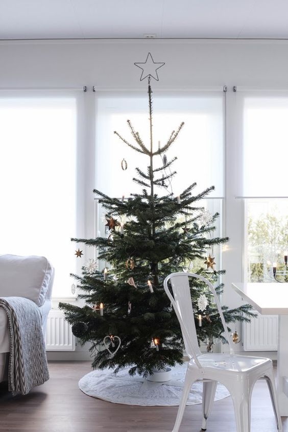 12 Scandinavian Christmas Trees