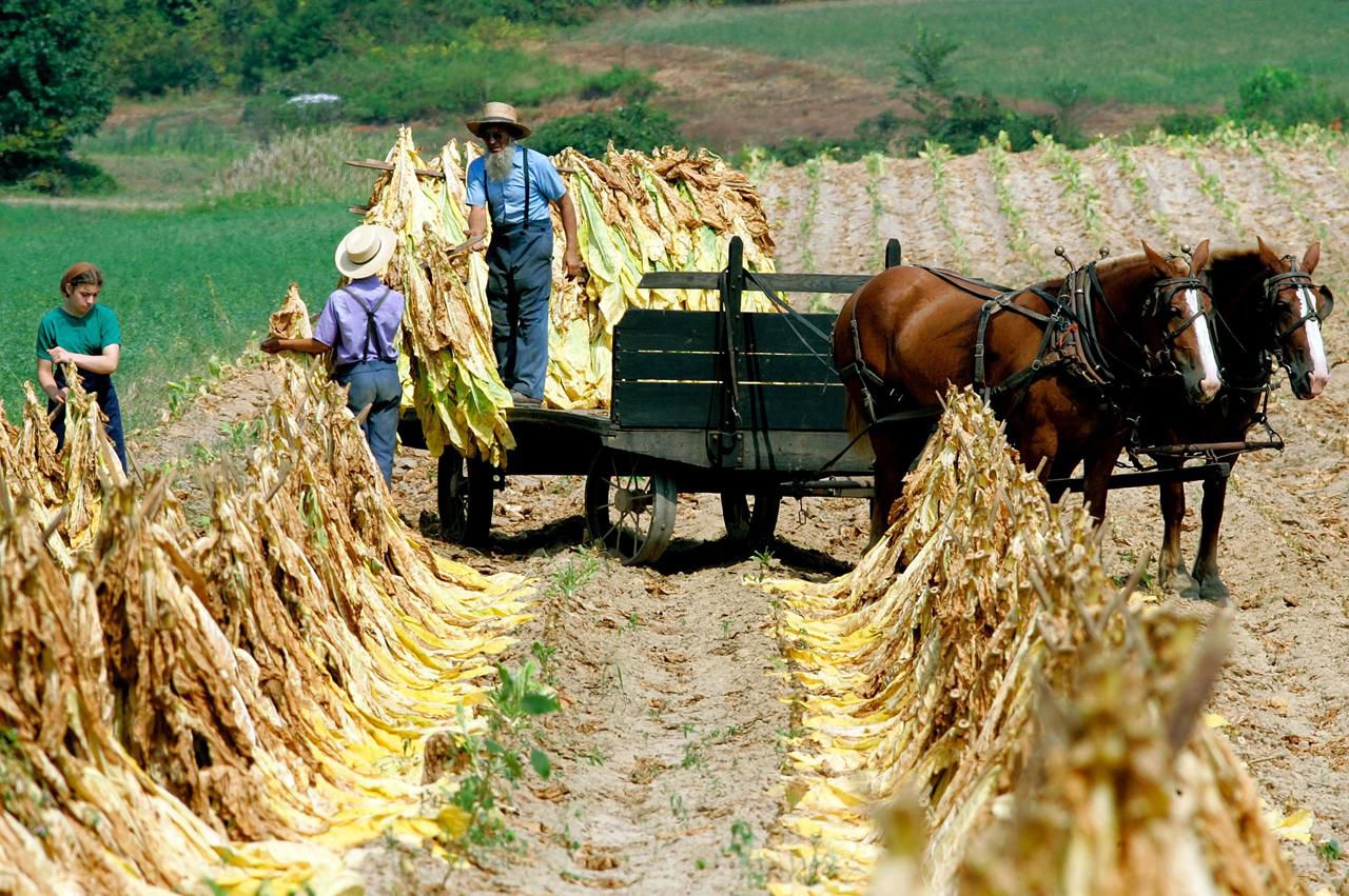 Amish Life and Culture - Frequently Asked Questions