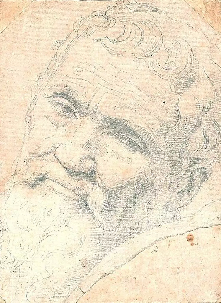 A rendering by Michelangelo's student and friend