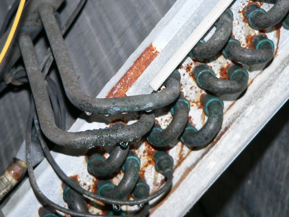 What to Do With Chinese Drywall Problems