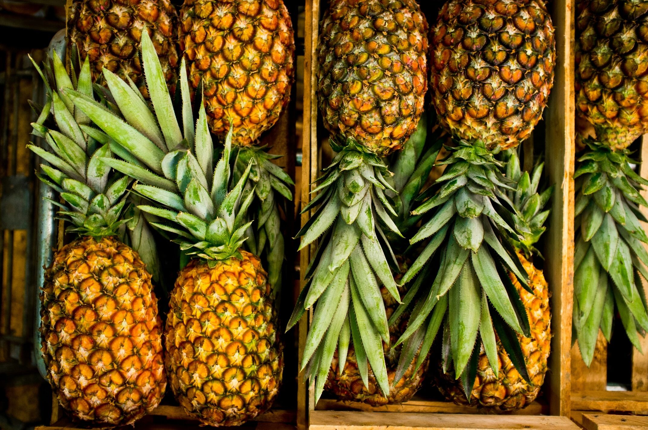 high angle view of pineapples in crate 587191515 59543d903df78cdc298933cc