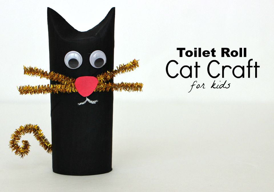 toilet roll cat toy