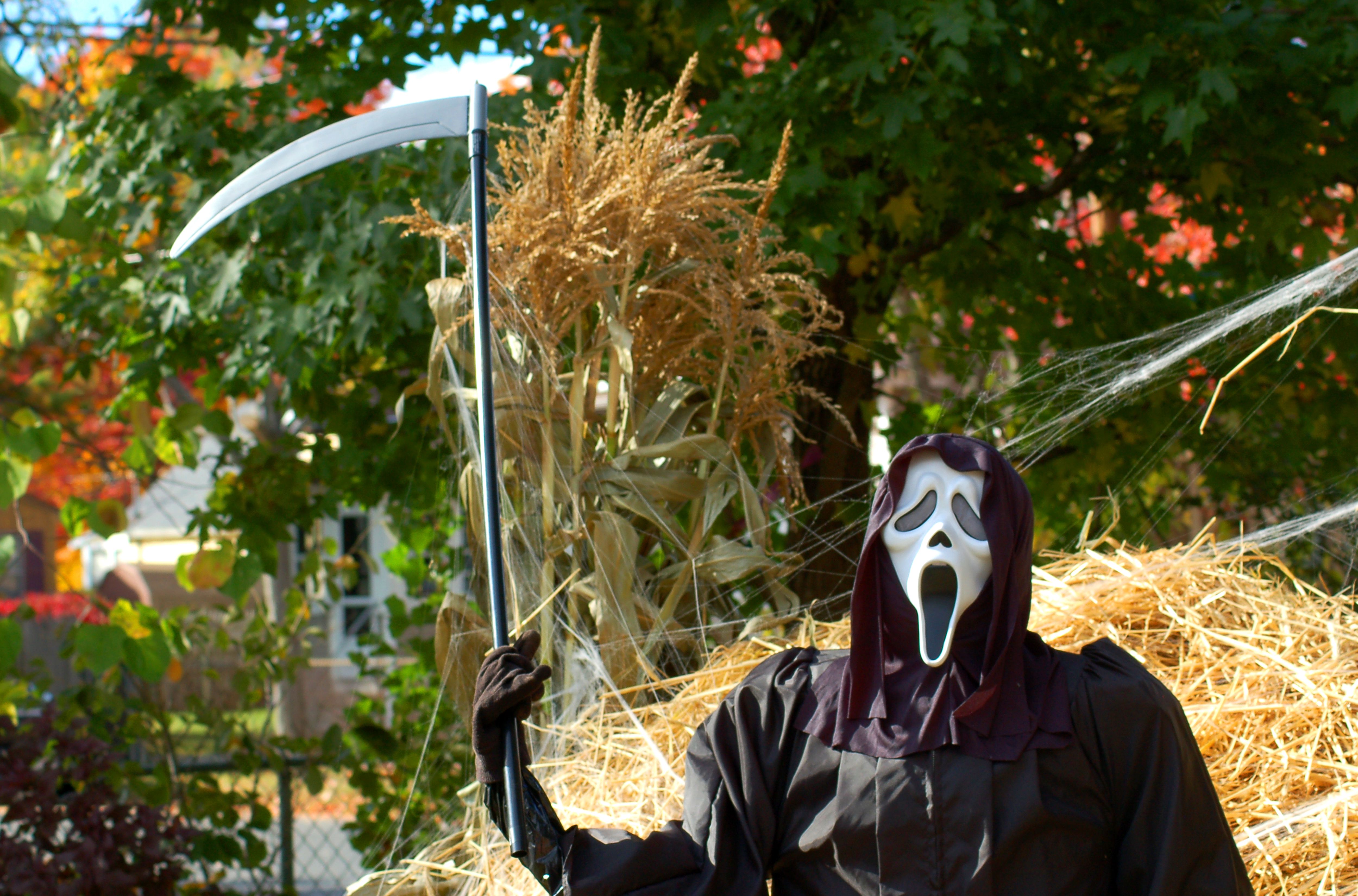 grim reaper scythe for lawn