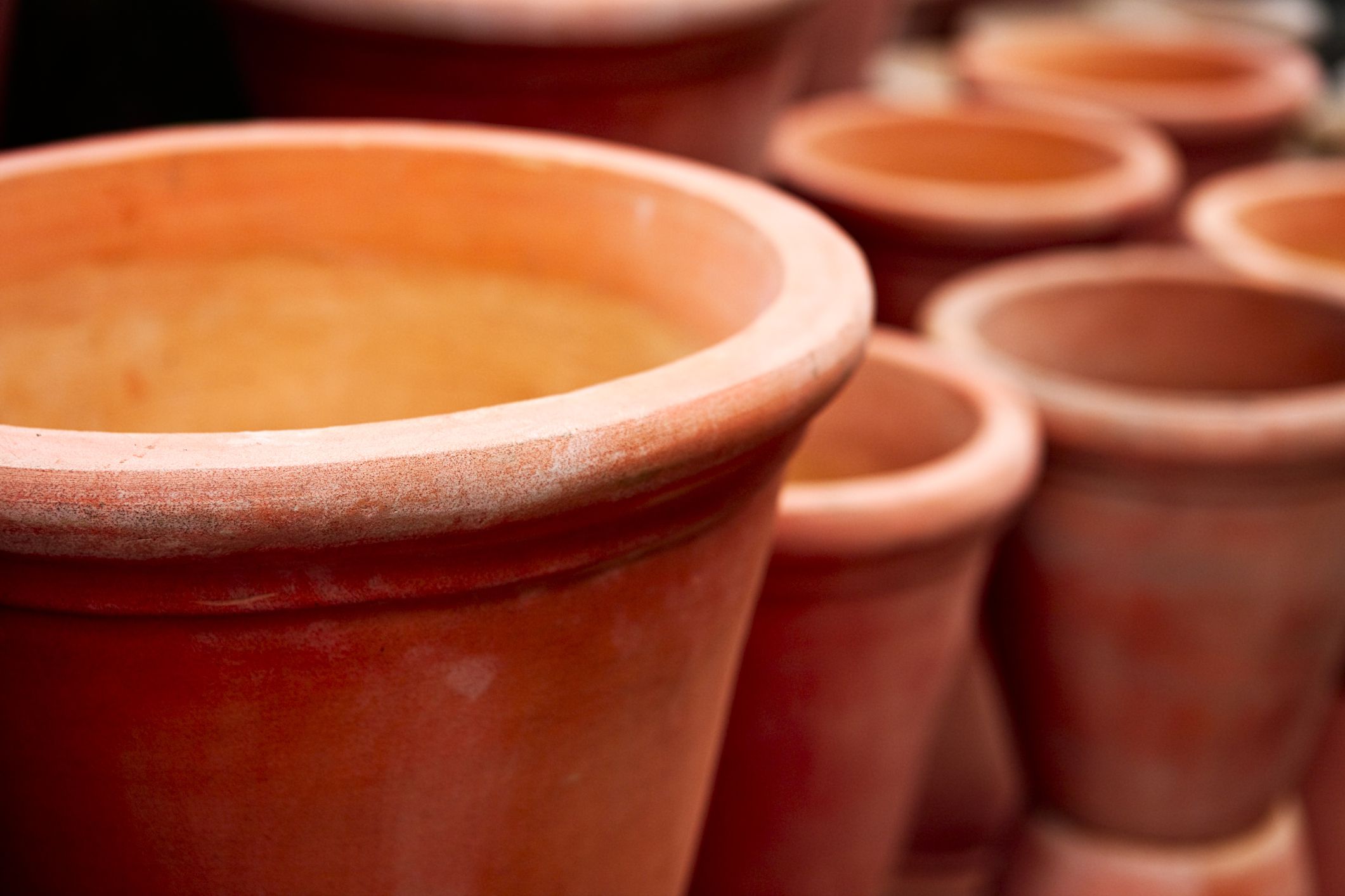 What Does A Flower Pot Symbolize