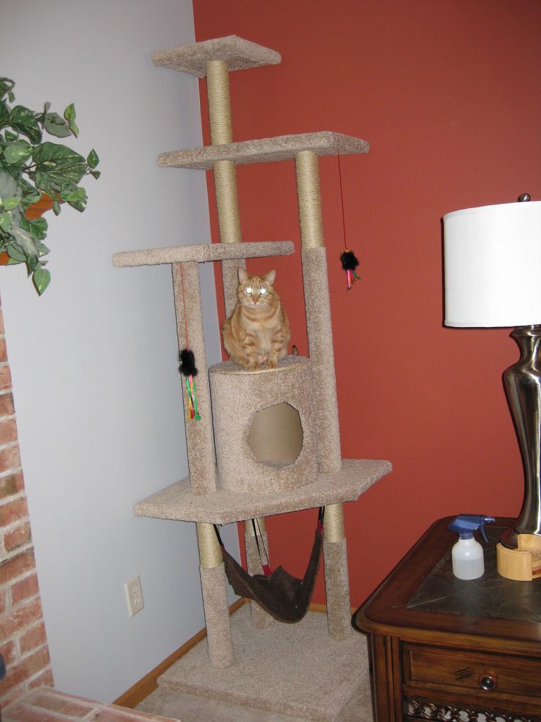 9 Free Cat Tree Plans You Can DIY Today