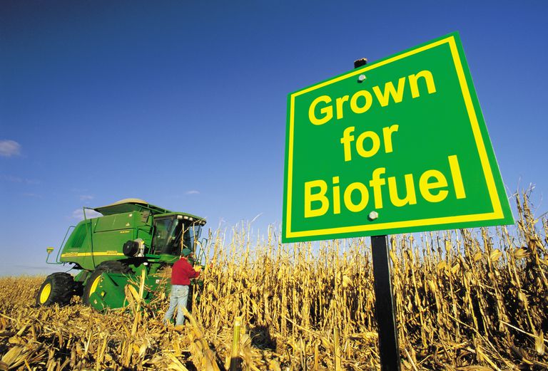 the-pros-and-cons-of-biofuels