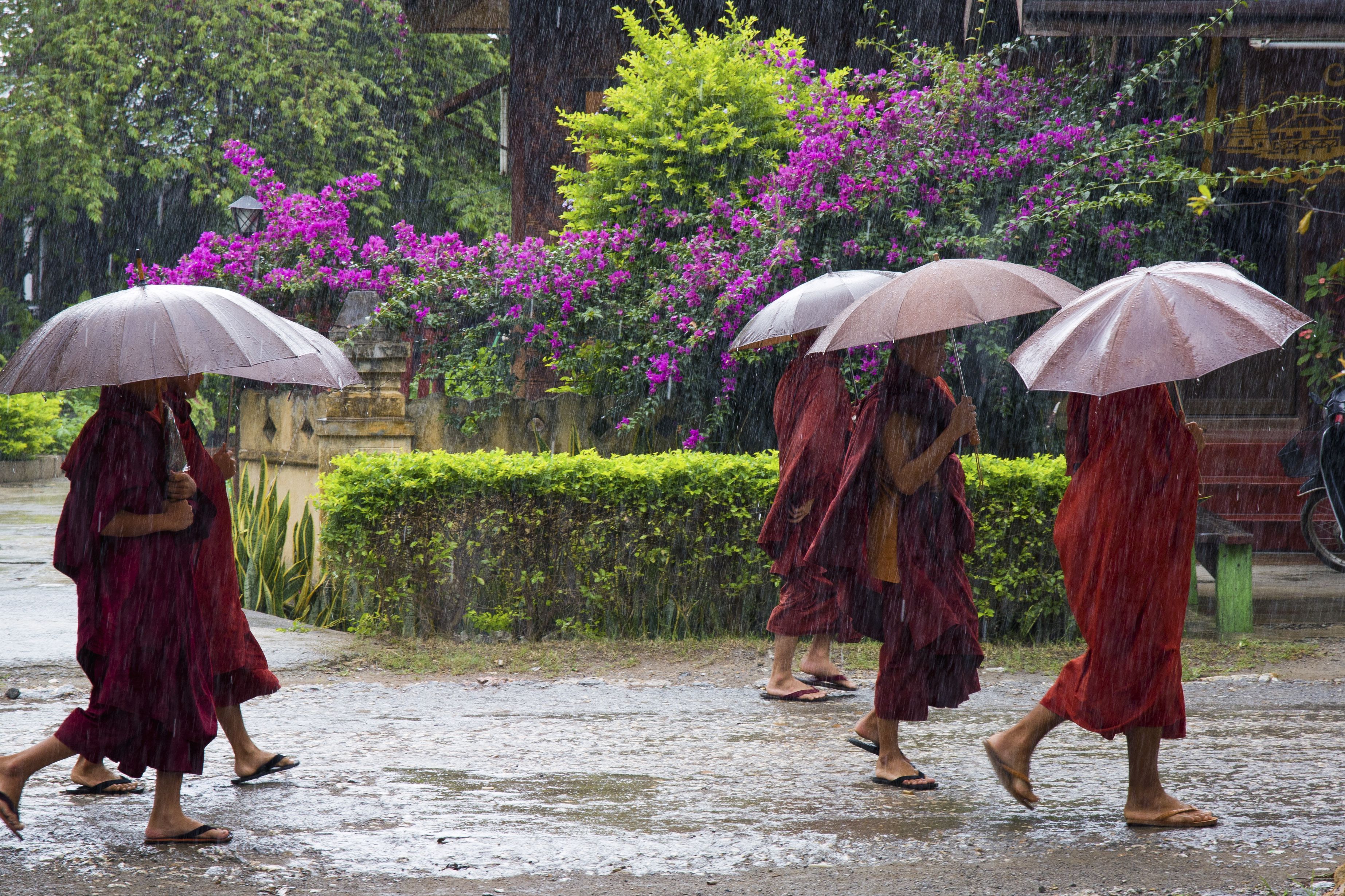 Monsoon Season Definition Causes And Dangers