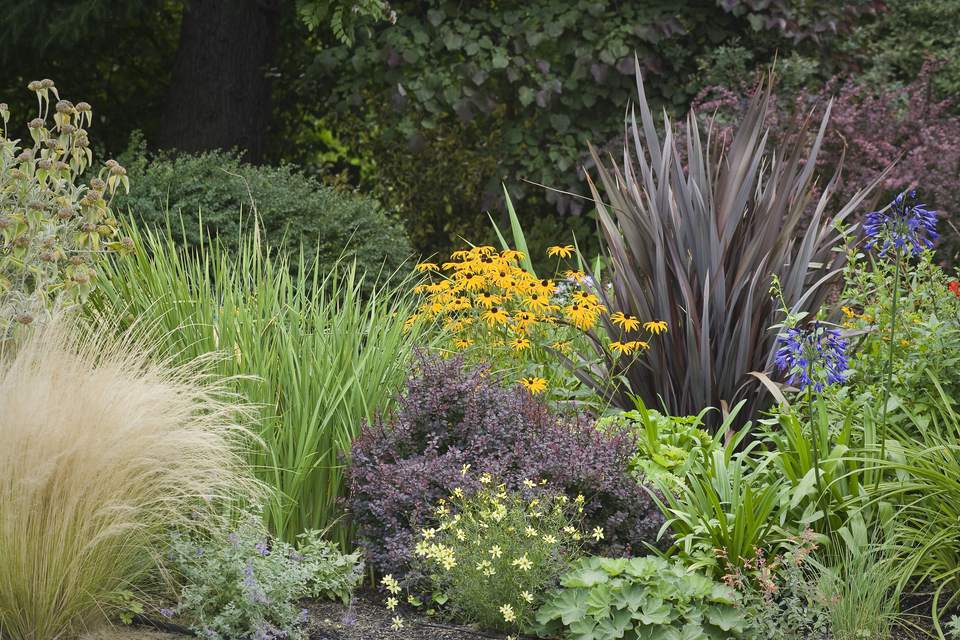 12 Ornamental Grasses That Will Stop Traffic on Ornamental Grass Garden Designs
 id=86000