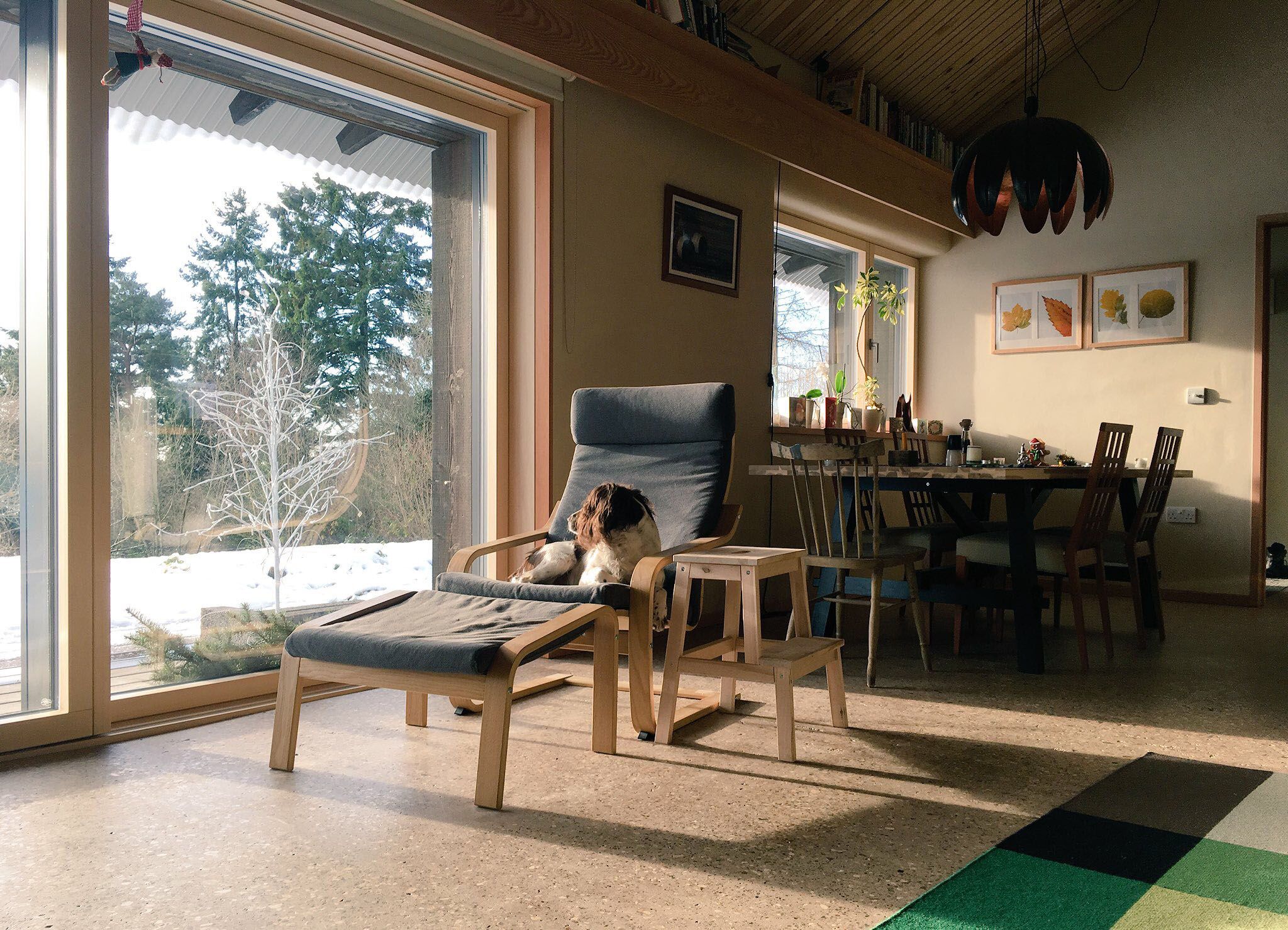 When Did Healthy Homes Get So Expensive?