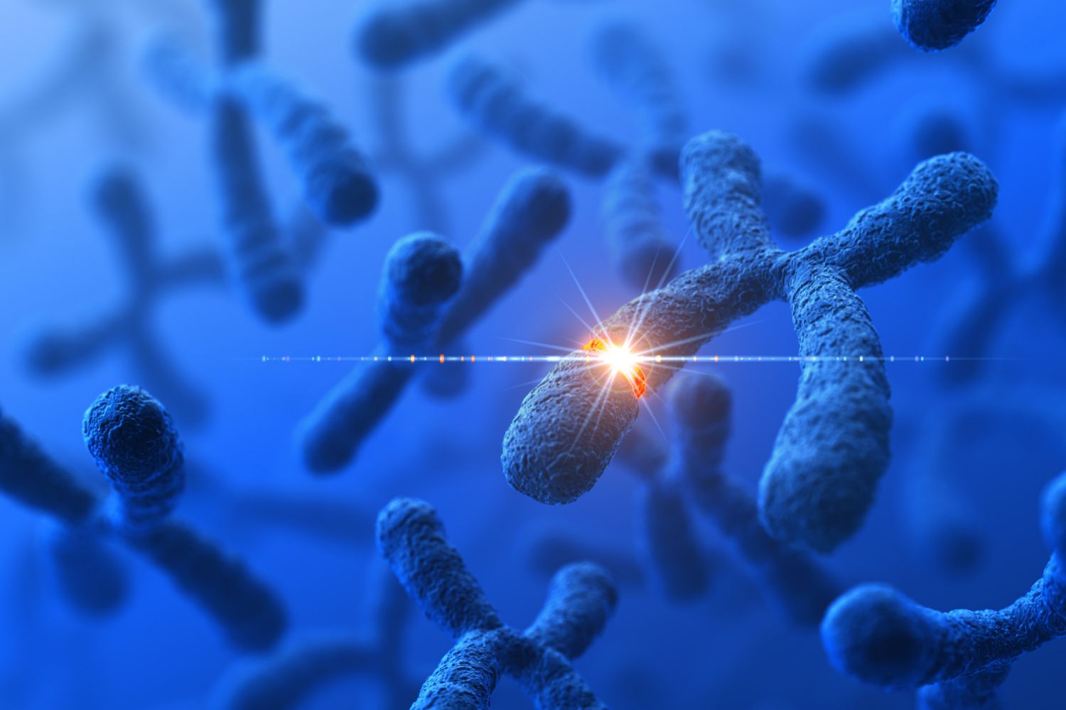 How Gene Mutation Works Biology Diagrams