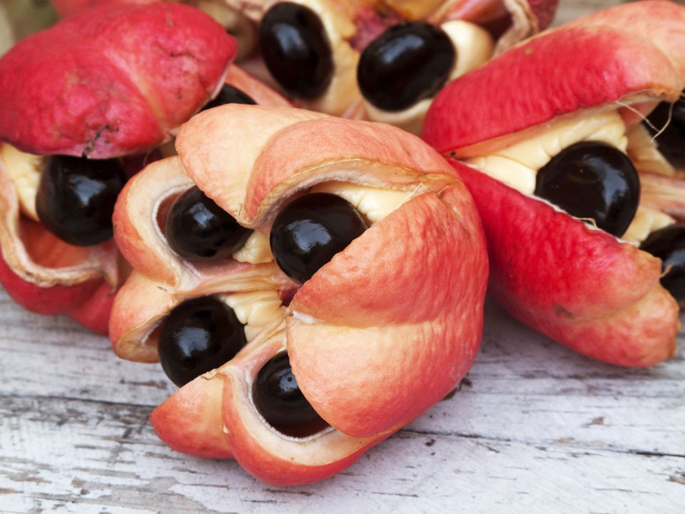 Ackee Fruit: How to Cook It and When to Eat It