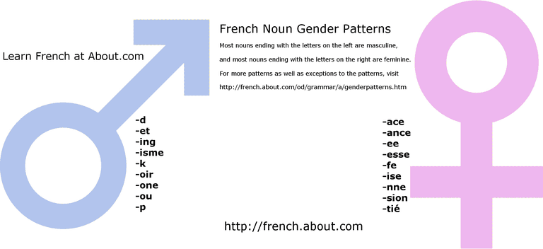 French Noun Endings Can Be A Telltale Sign Of Gender