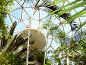 vancouver attractions for kids: Bloedel Conservatory