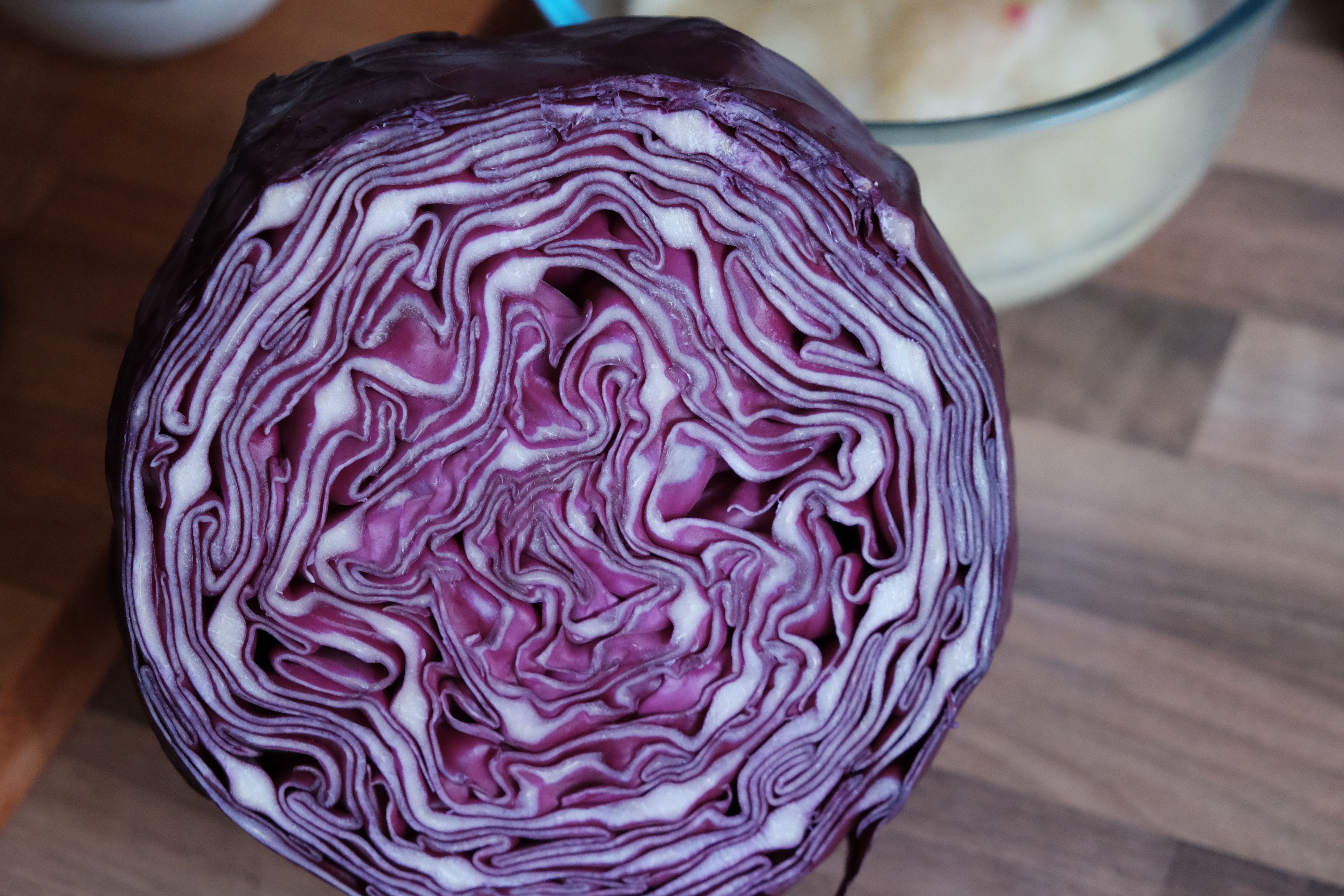 easy-cole-slaw-salad-recipe-with-purple-cabbage