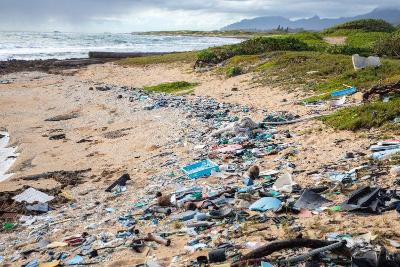 Help Save the Ocean