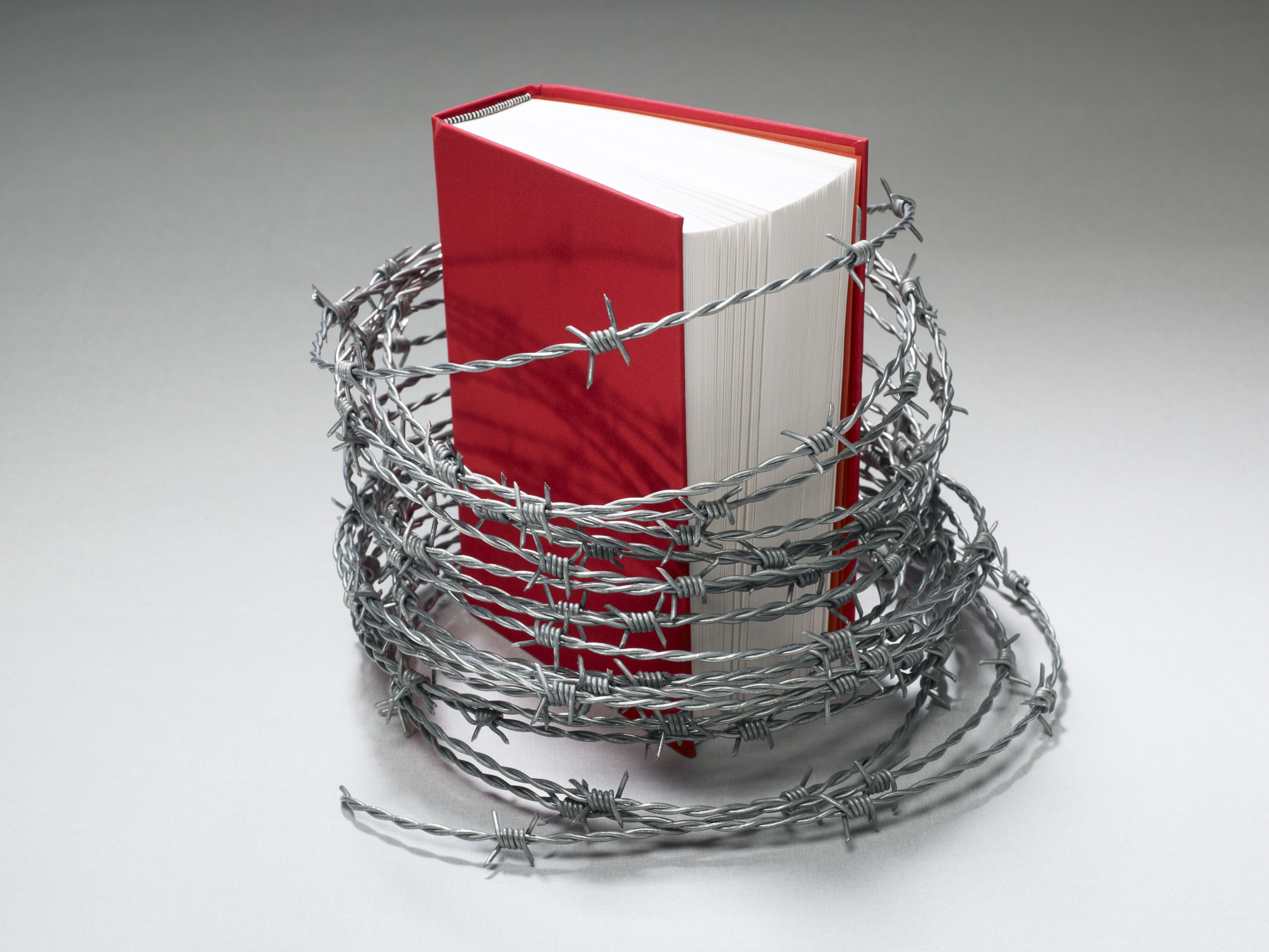 Classic and Award-Winning Banned Books