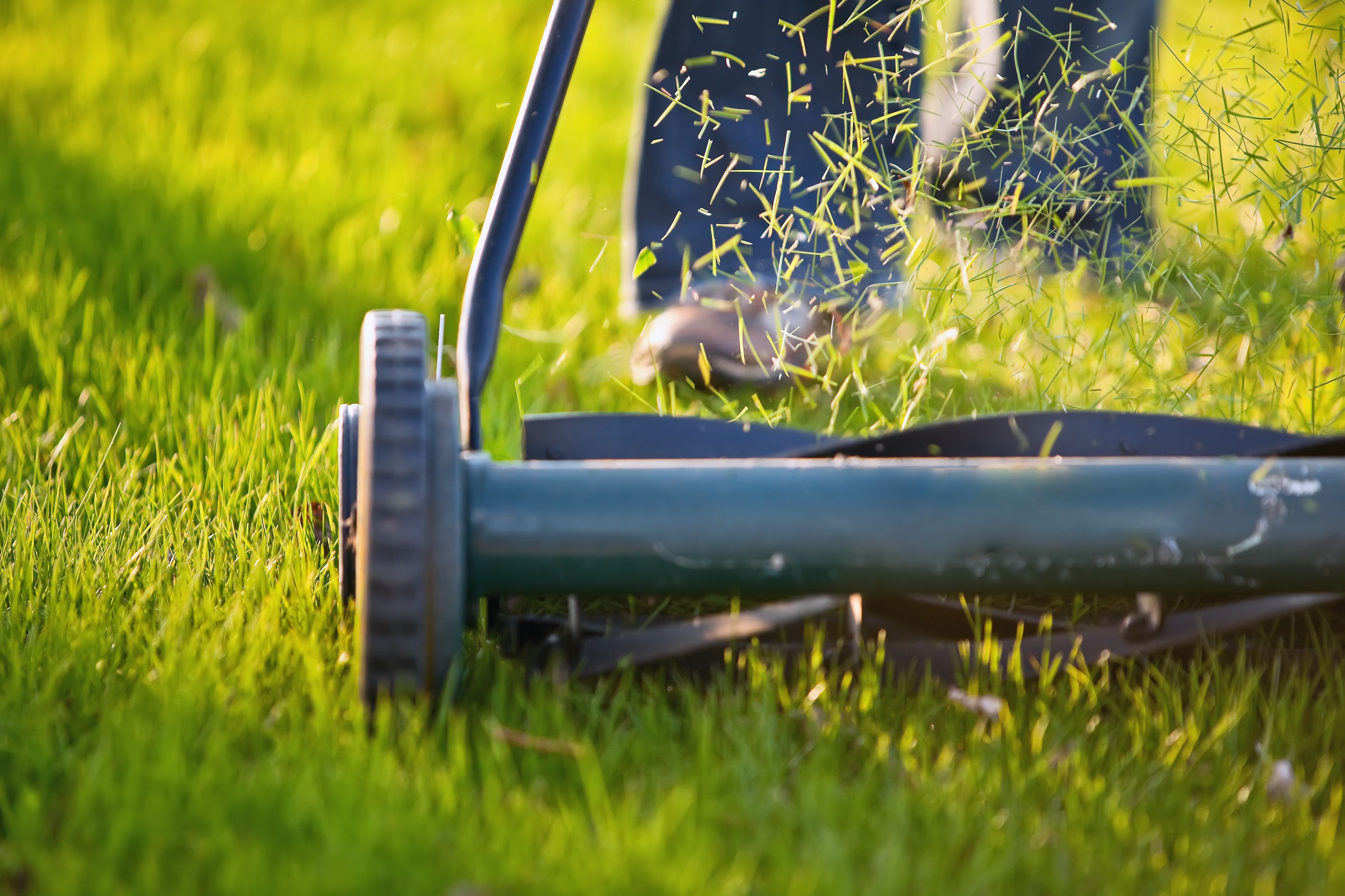 how-to-prepare-your-lawn-for-spring