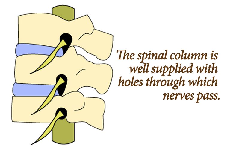 Most Common Causes Of Sciatica