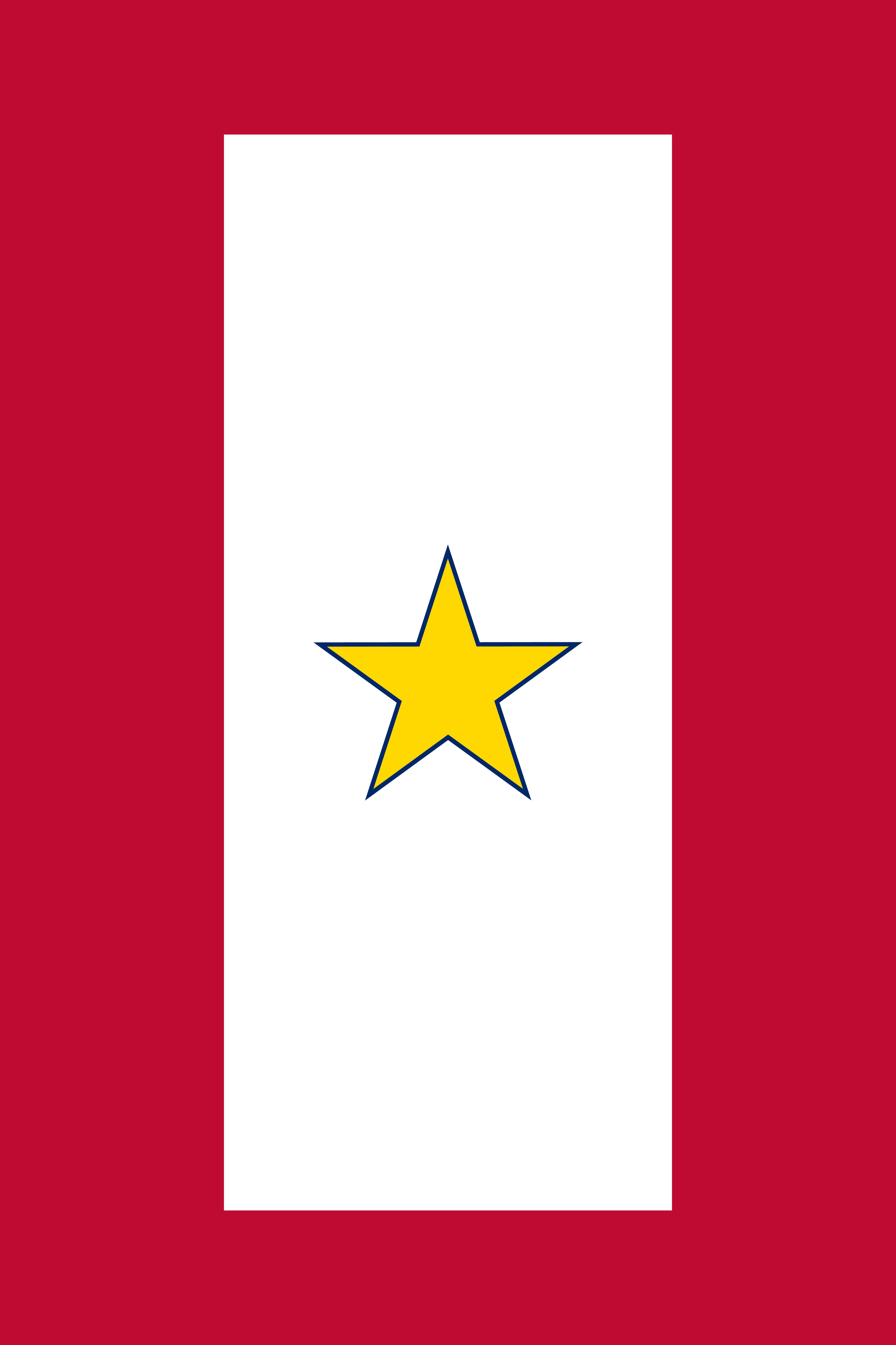 flag star meaning Represent? Star Does the Gold What Military