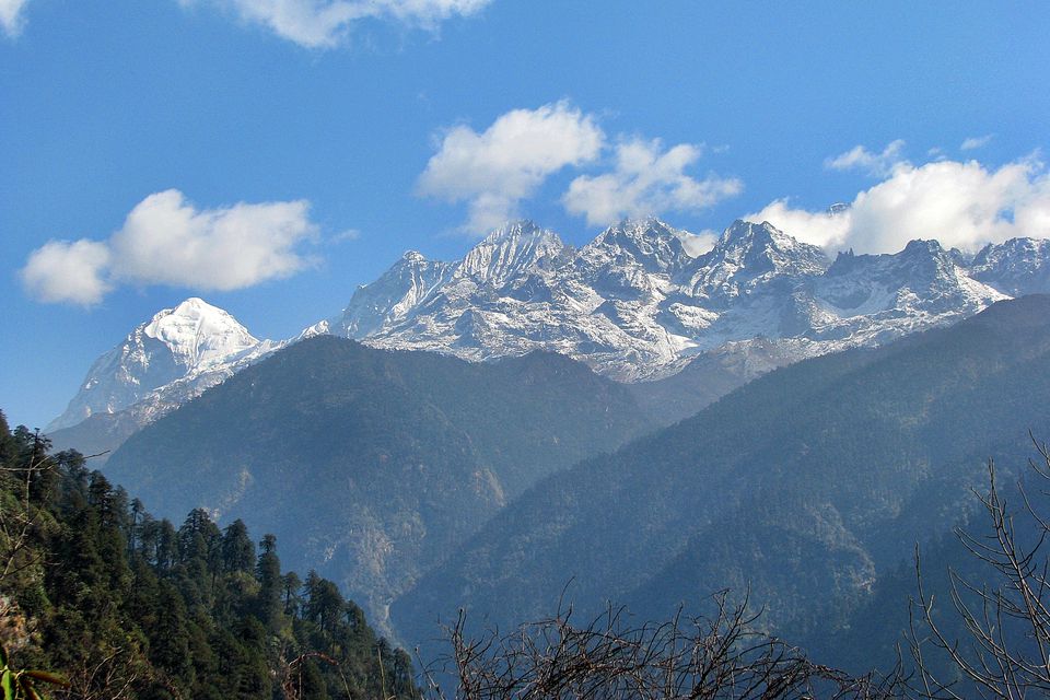 Dzongri Trek Photos: Yuksom to Dzongri Peak in Sikkim