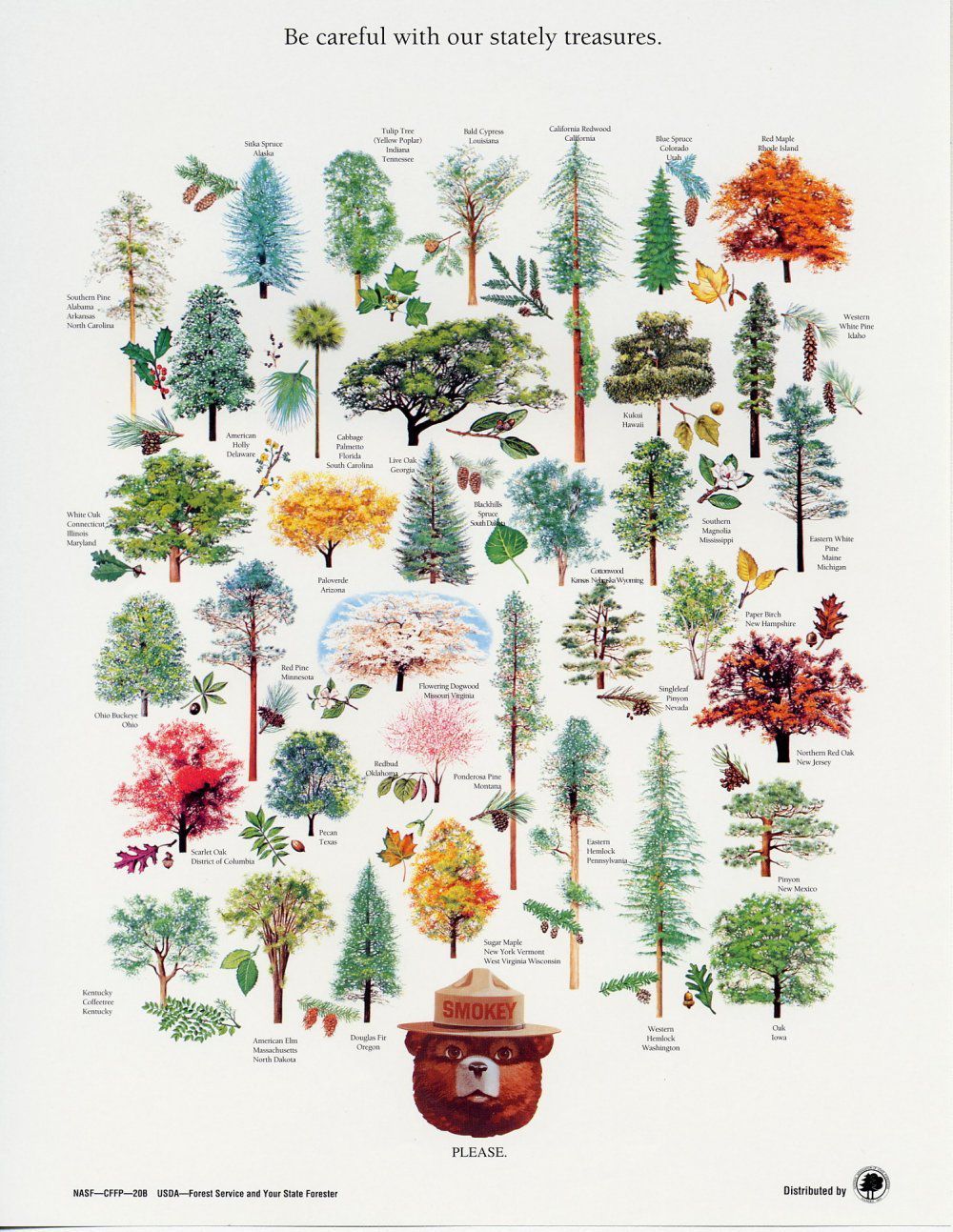 A Collection Of Smokey Bear S Best Nature Posters