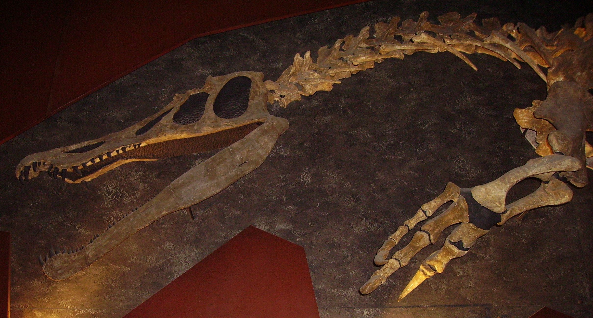 prehistoric kingdom baryonyx