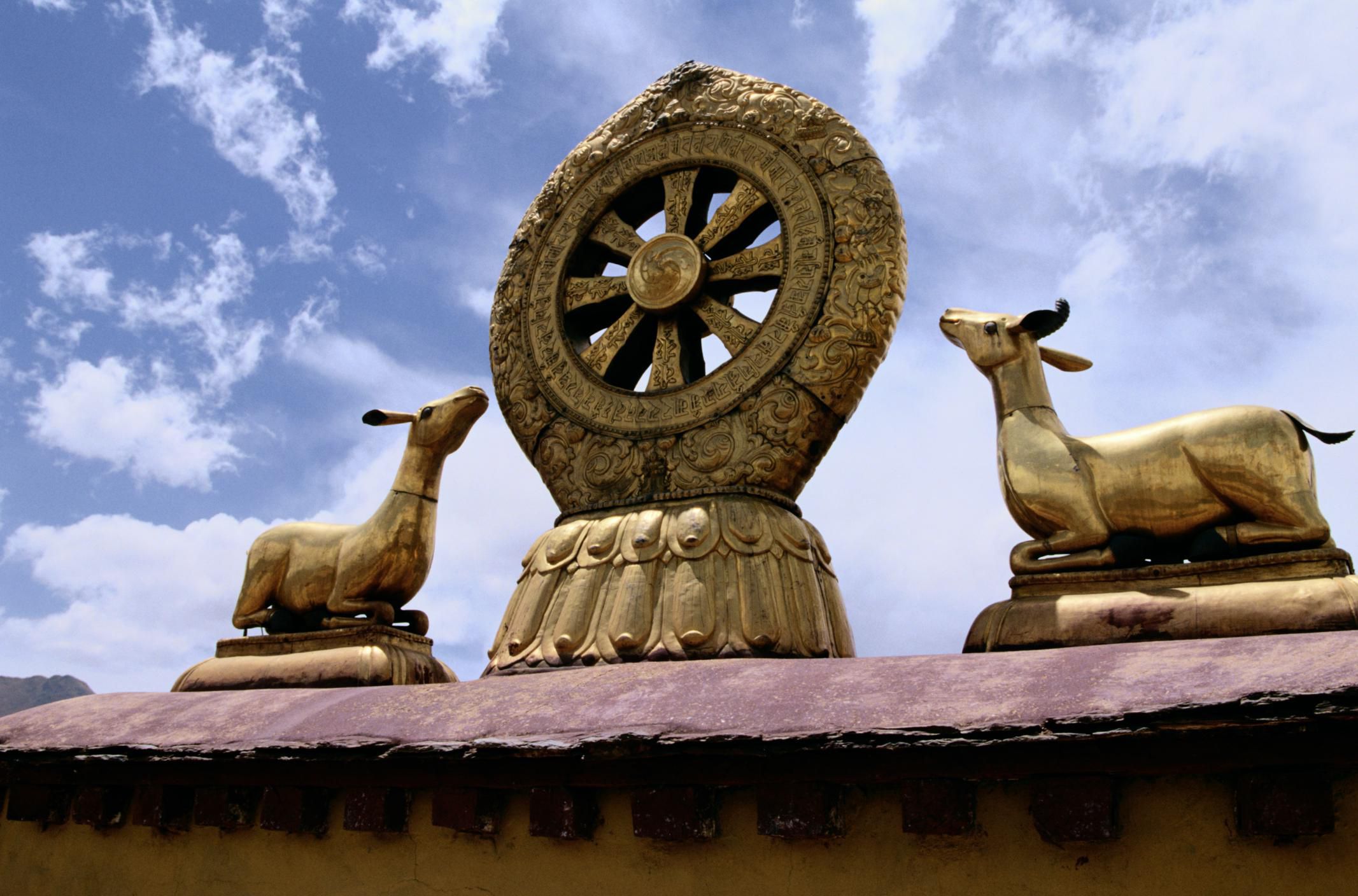 The Dharma Wheel (Dharmachakra) Symbol of Buddhism