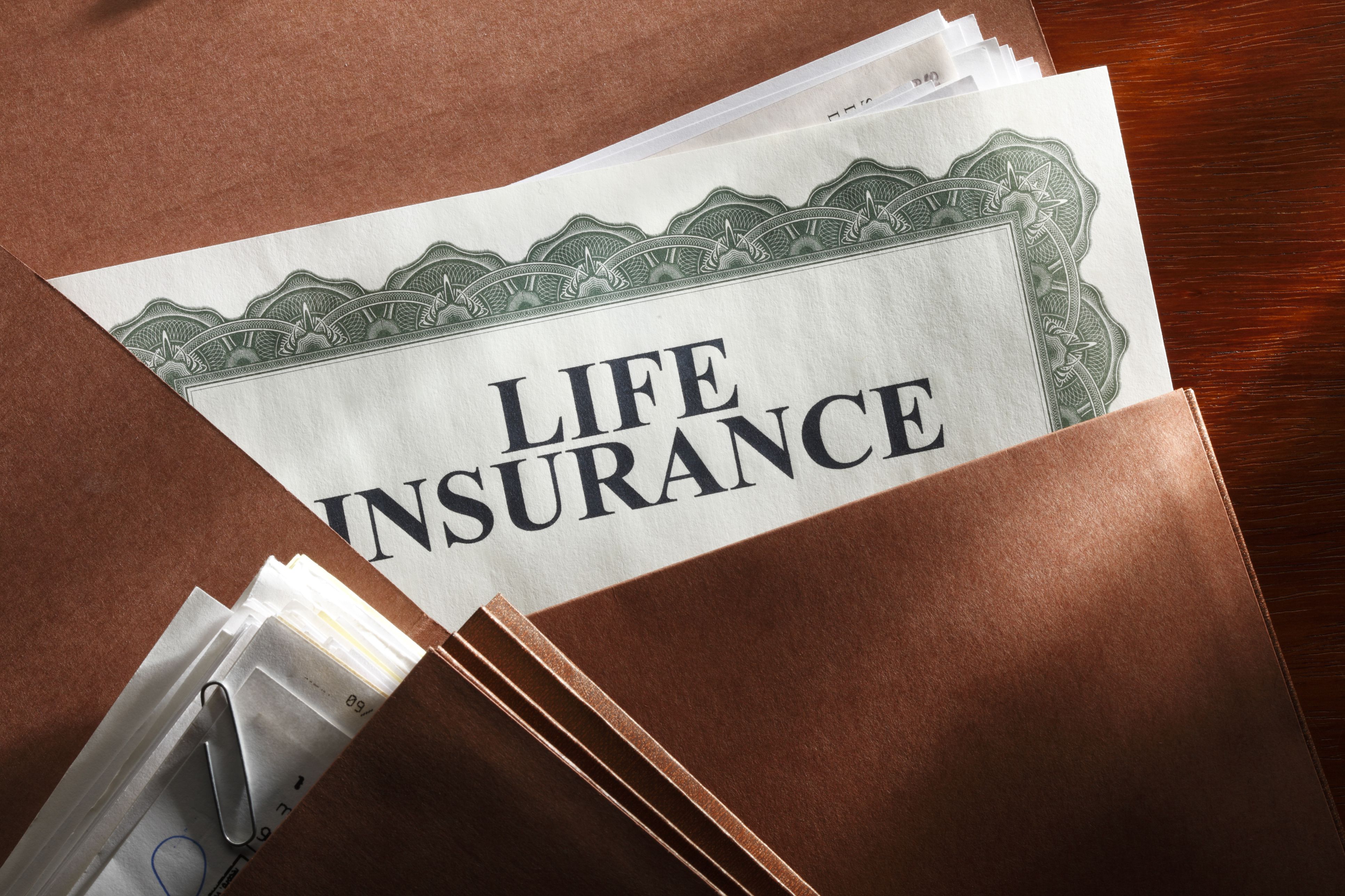 Life insurance policy in a brown folder