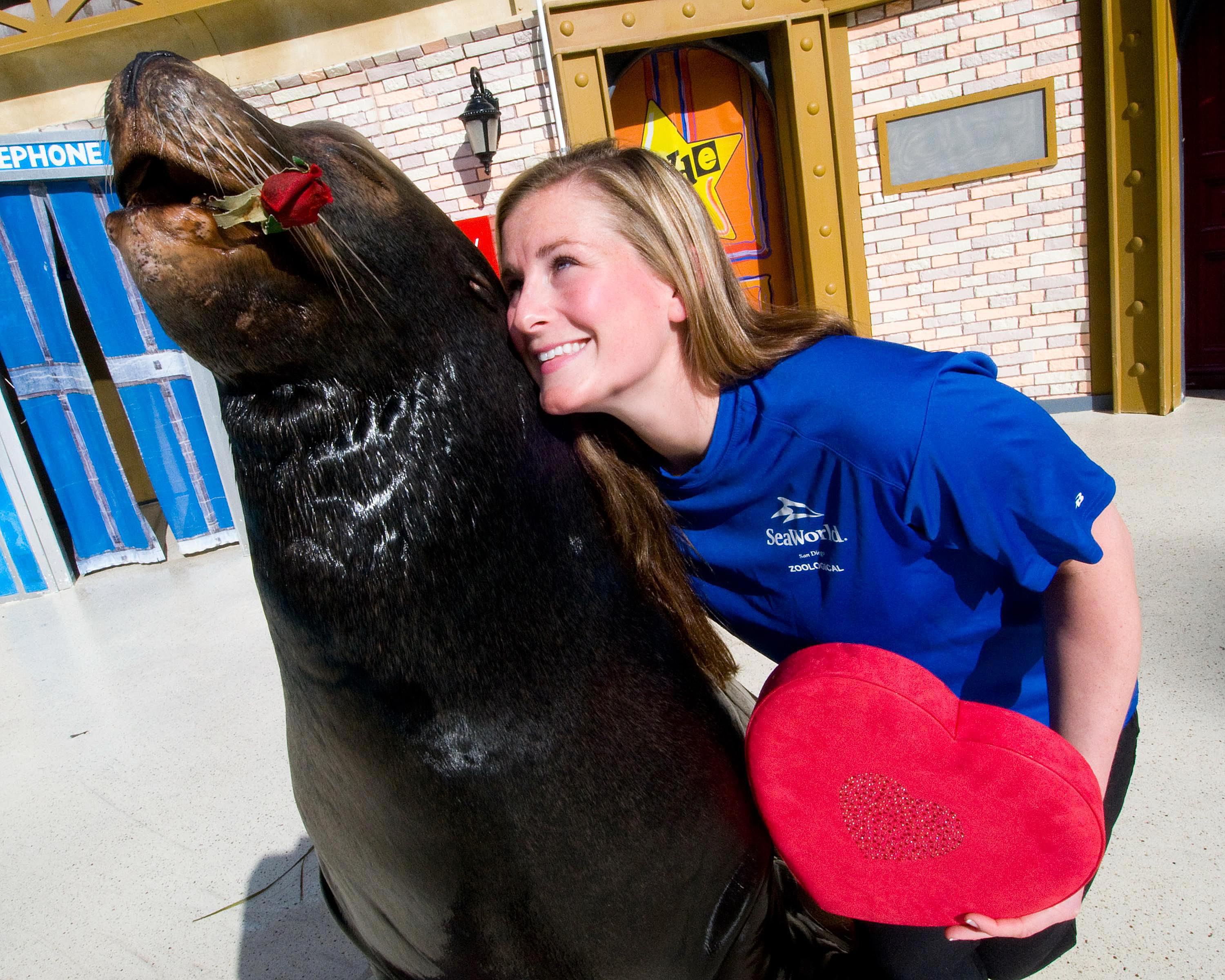 marine-mammal-trainer-job-description