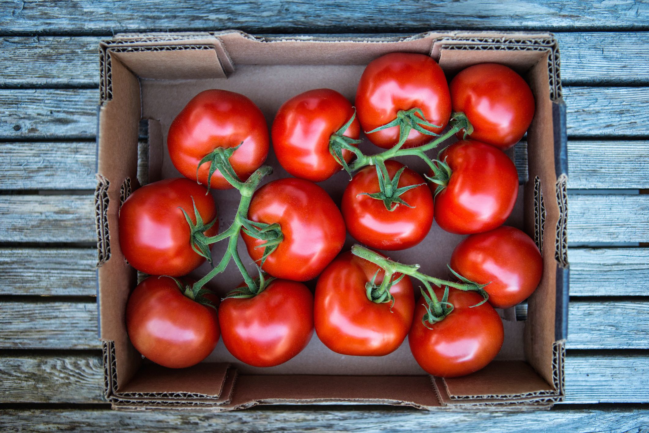 How to Preserve Tomatoes to Enjoy All Year