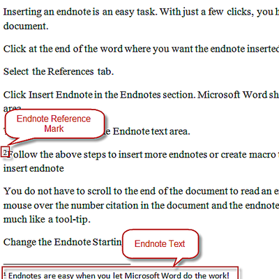 how to use endnote with word