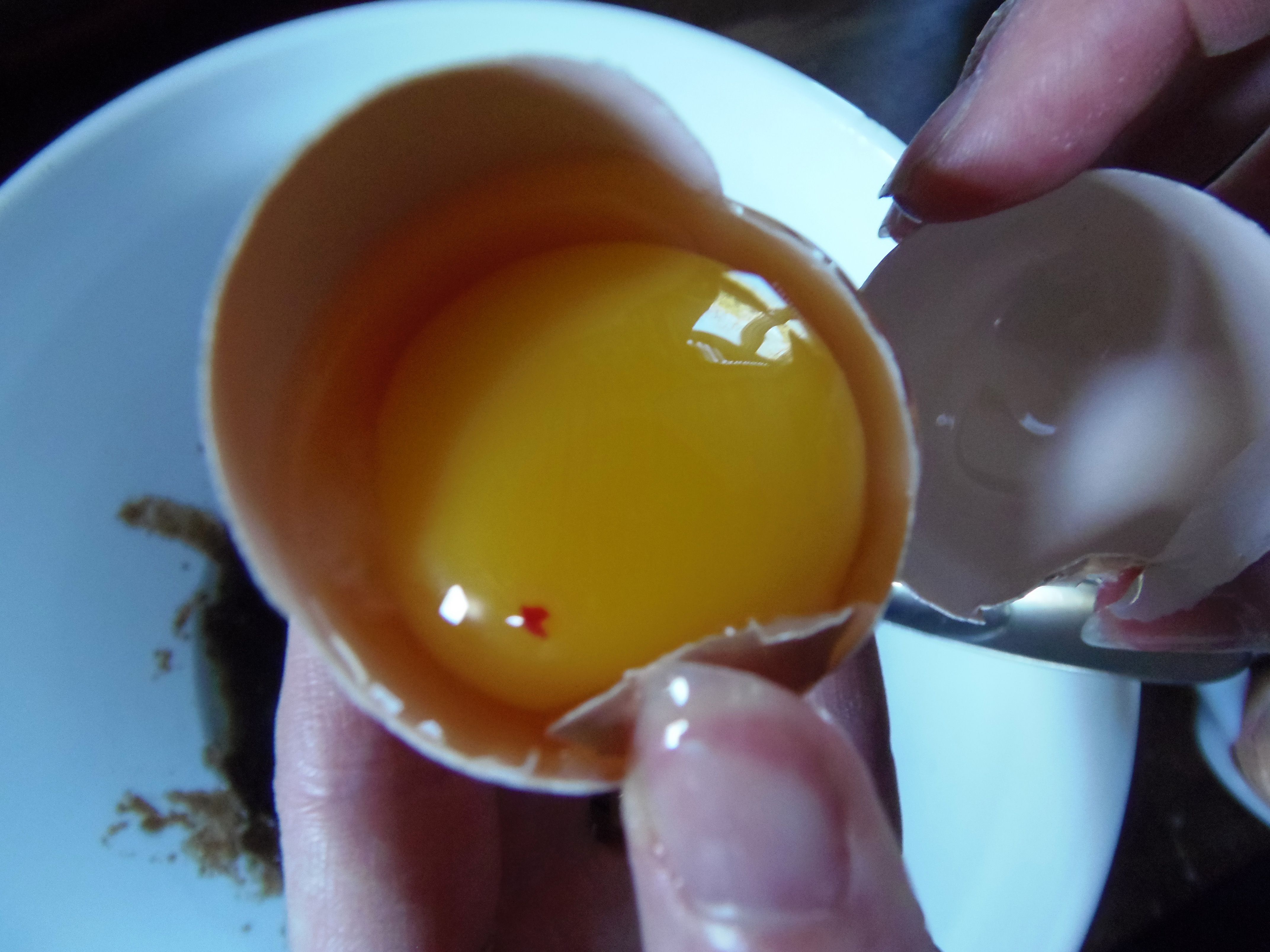 Is It Safe to Eat an Egg with a Blood Spot?