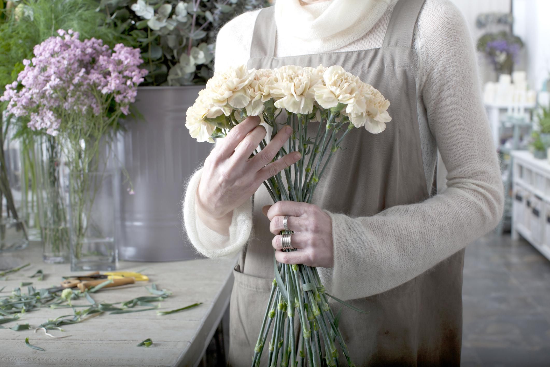 coloring carnations science experiment