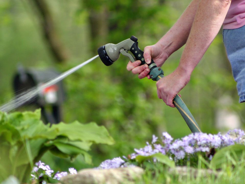 How To Keep Insects Out Of Vegetable Garden