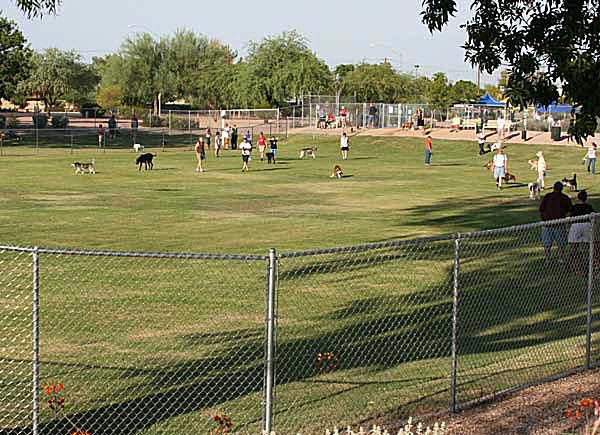 Images of Phoenix Area Dog Parks