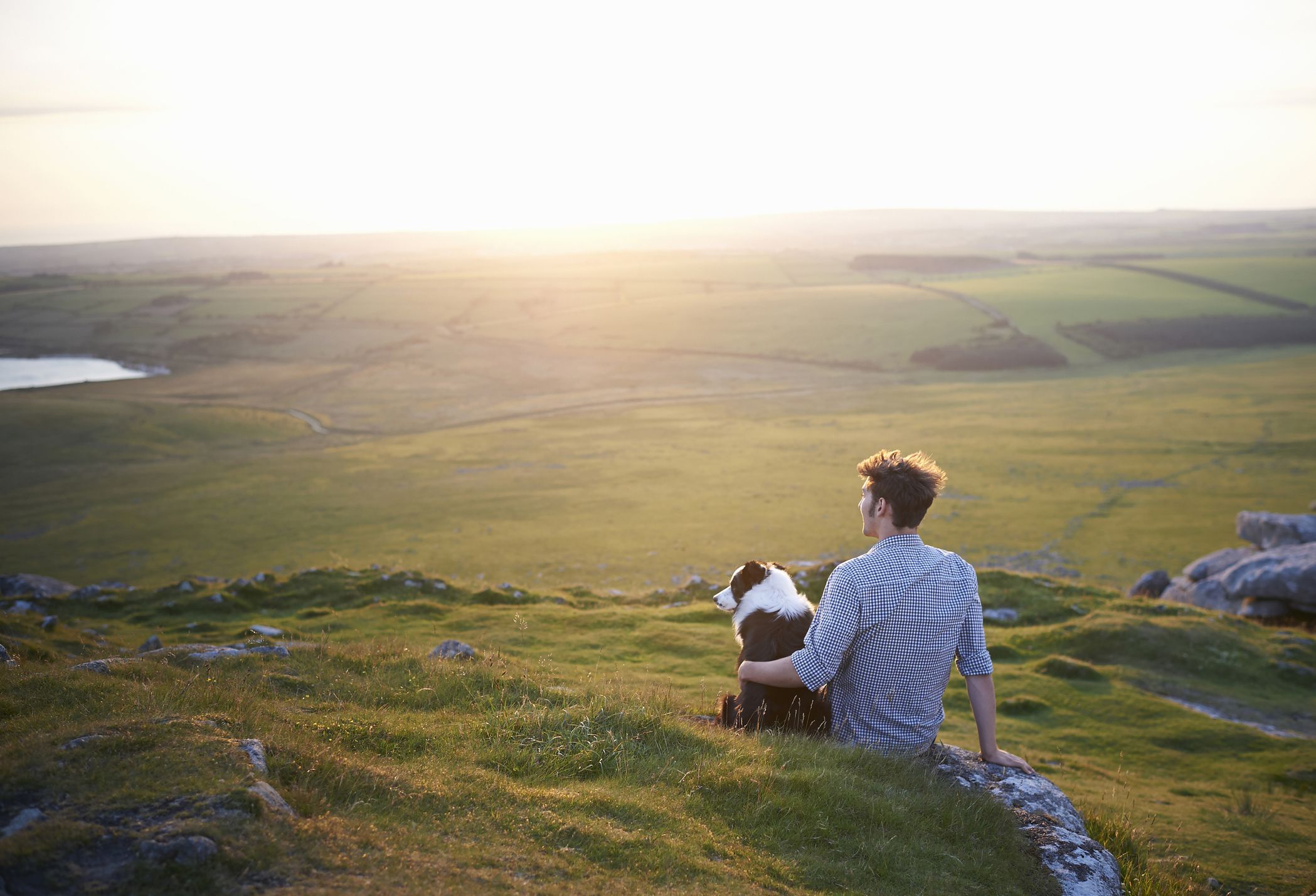 Why Are Dogs So Loyal?