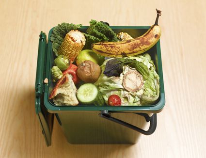 50 Things You Can Compost