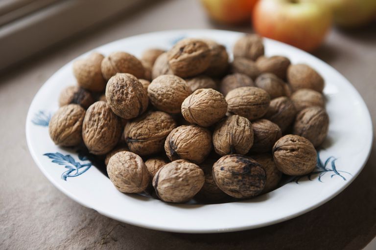 Harvesting Tree Nuts