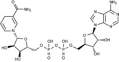 Chemical Structures Starting with the Letter N