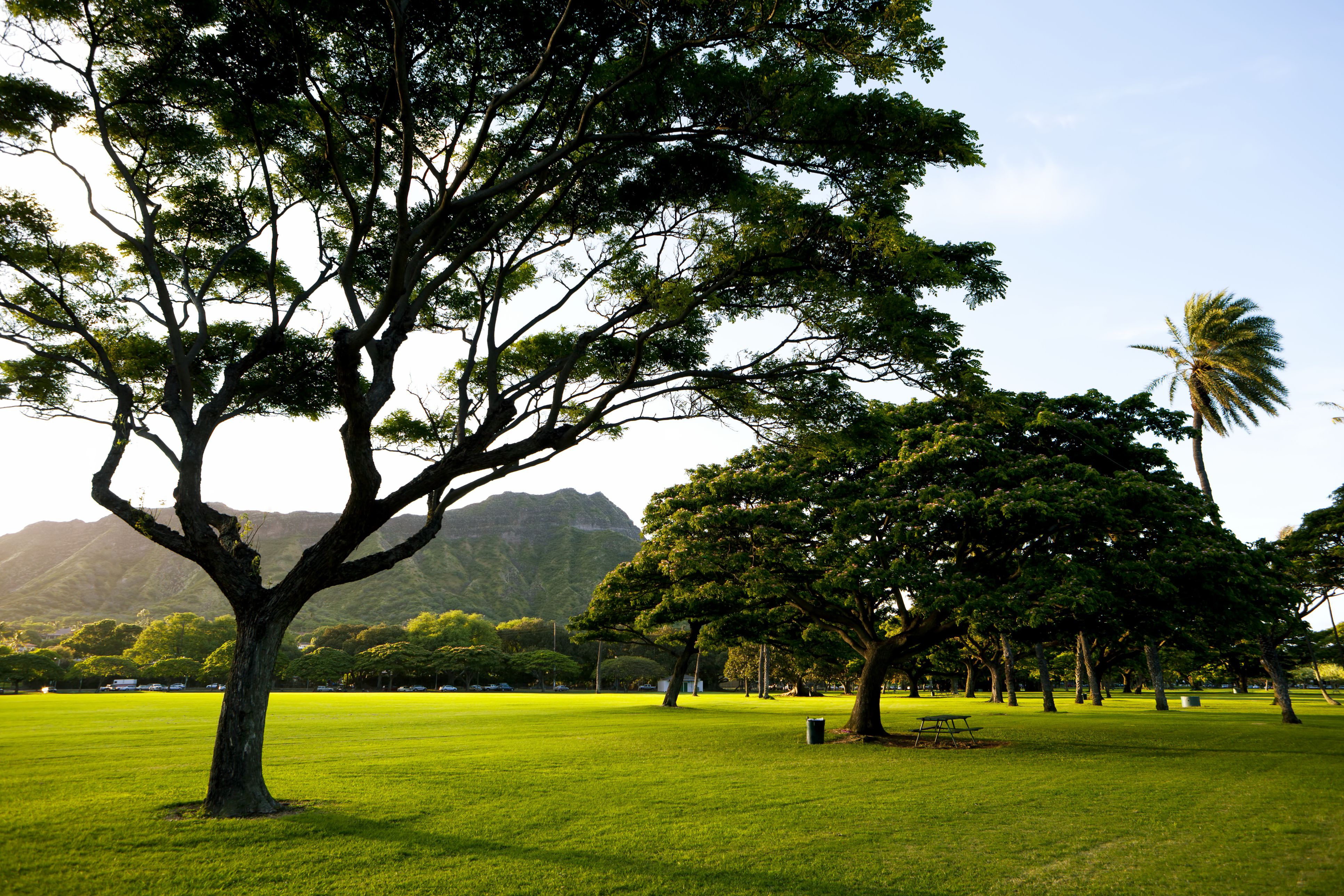 free-things-to-do-in-waikiki-oahu-hawaii