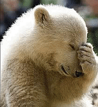 facepalmbear-5804f2af3df78cbc28913ff7.PN