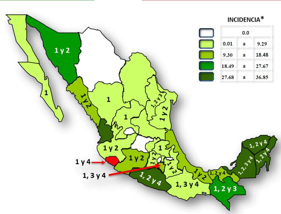 How to Avoid Dengue Fever in Mexico