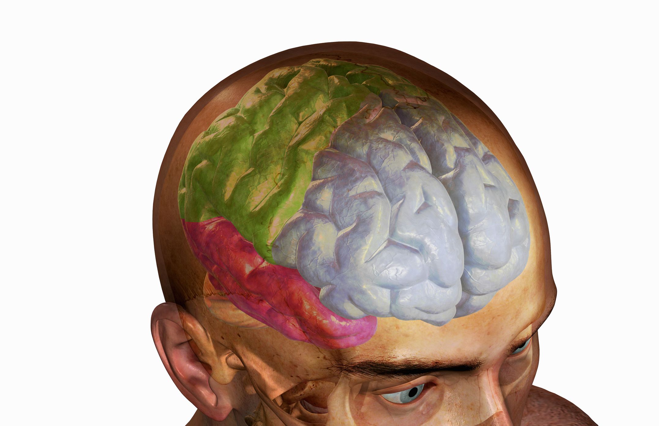 frontal-lobe-head-trauma-effects-and-treatment