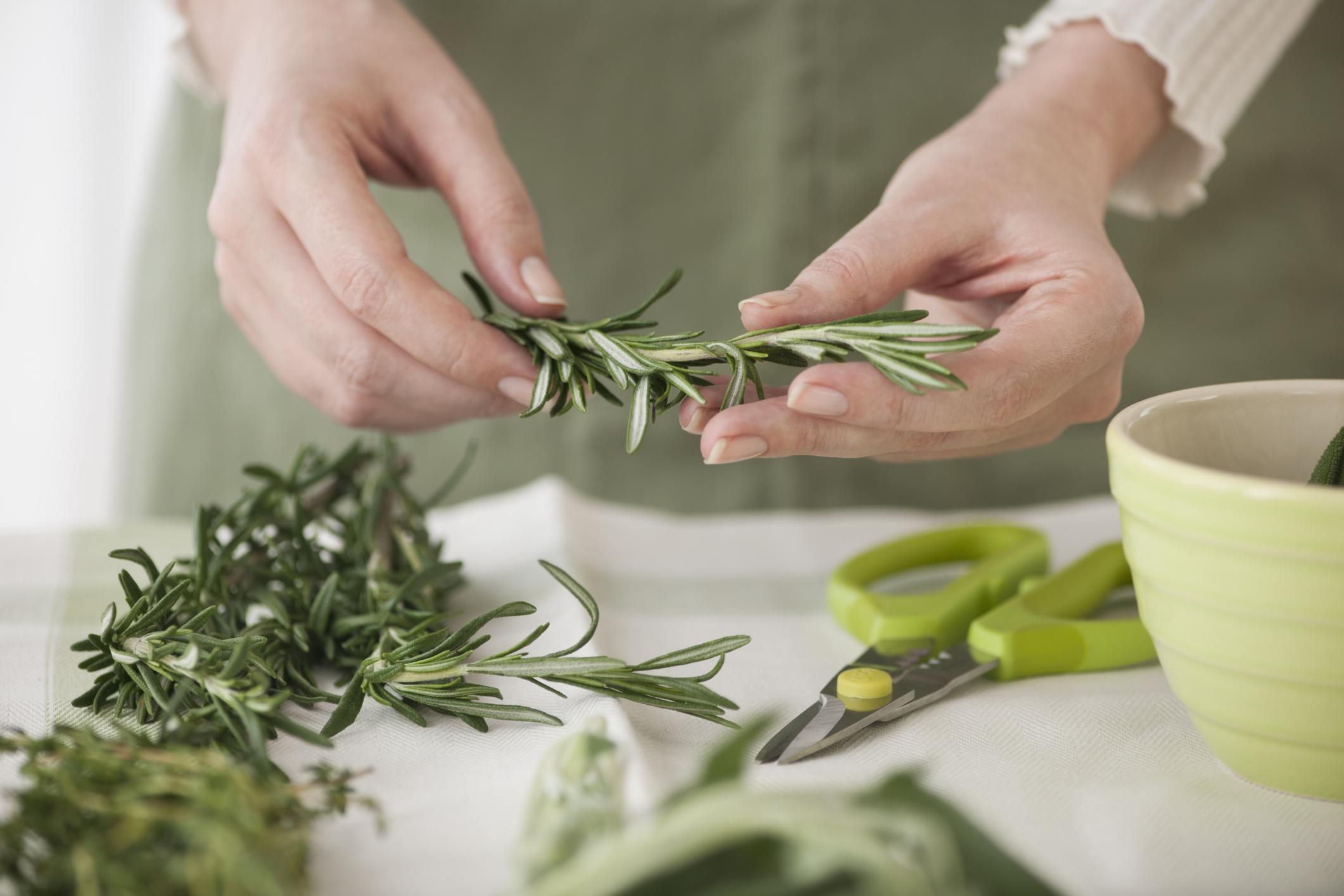 How to Freeze Herbs to Preserve Freshness