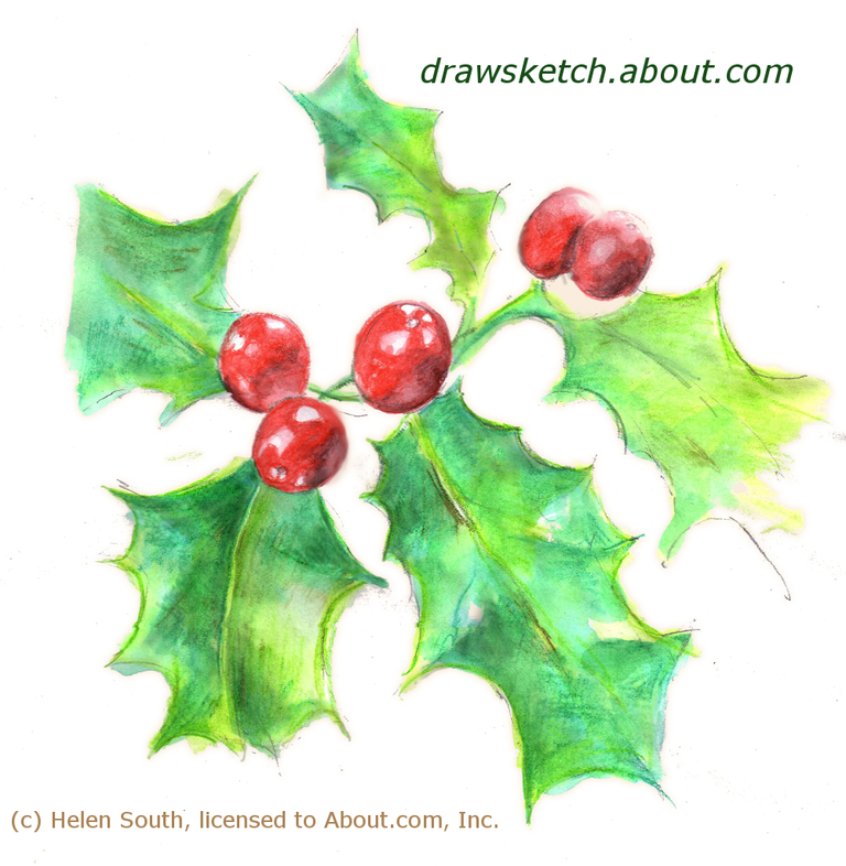 Draw Christmas Holly With Watercolor Pencils