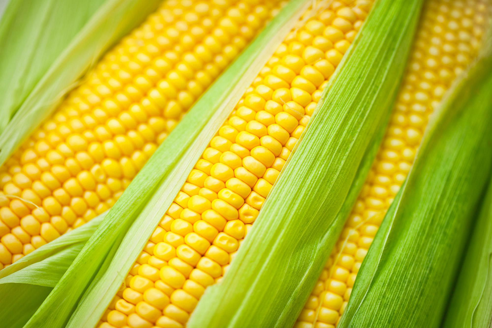 Image result for corn on the cob