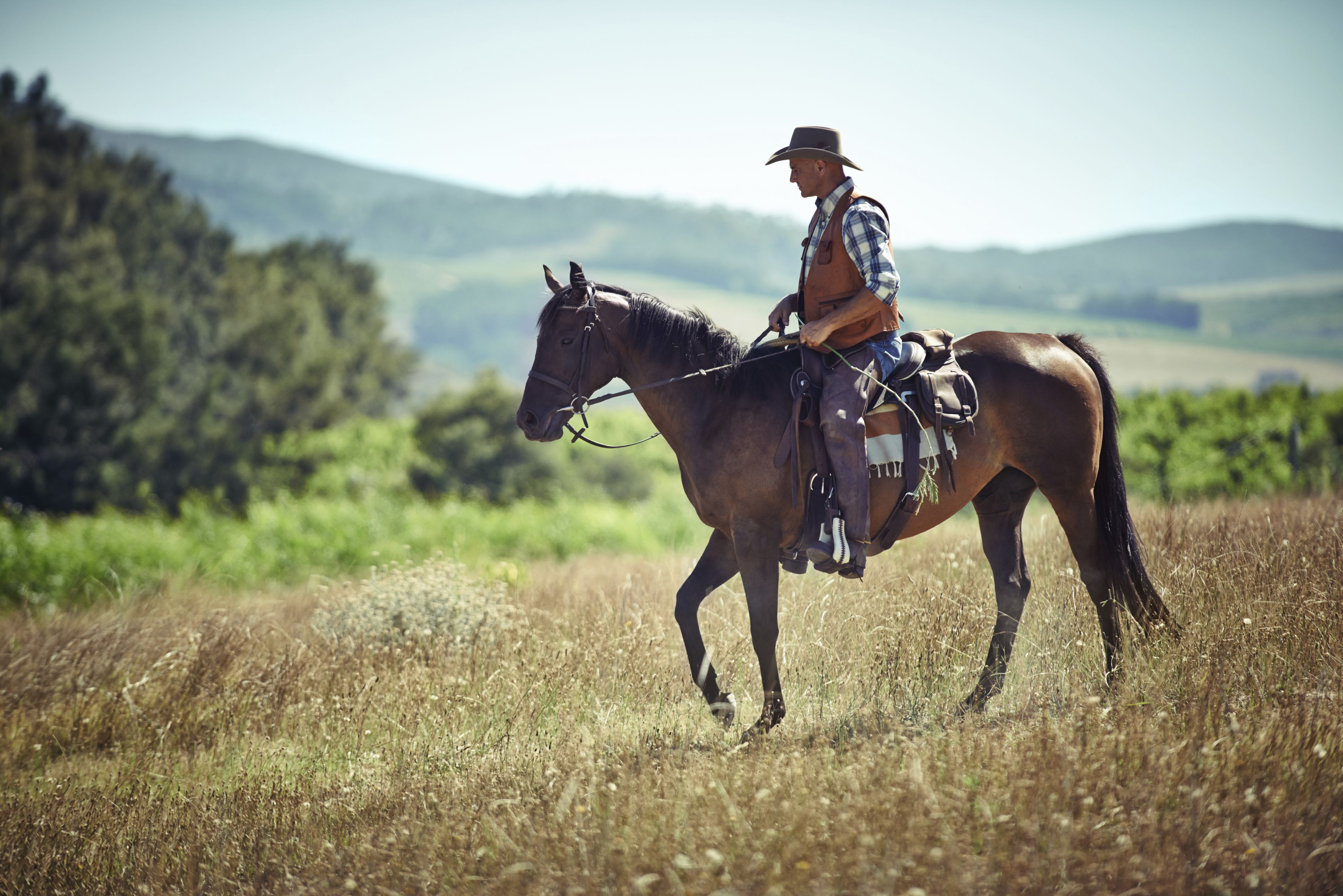 What Is the Difference Between Western and English Riding Styles?